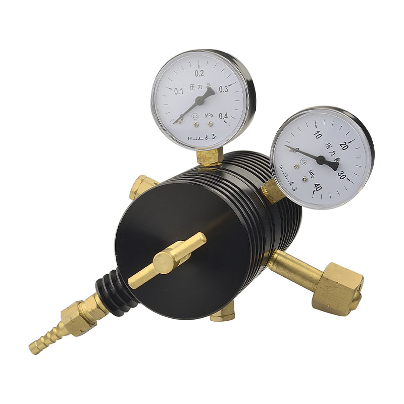 LR-101 tryckregulator för industriell naturgasledning